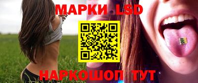 скорость Кингисепп