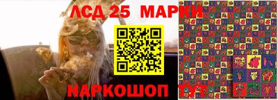 скорость Кингисепп