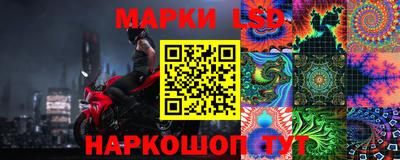 скорость Кингисепп