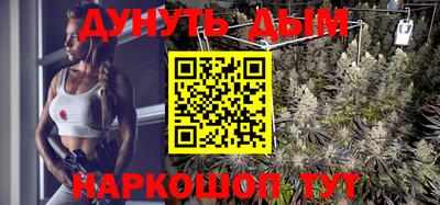 скорость Кингисепп
