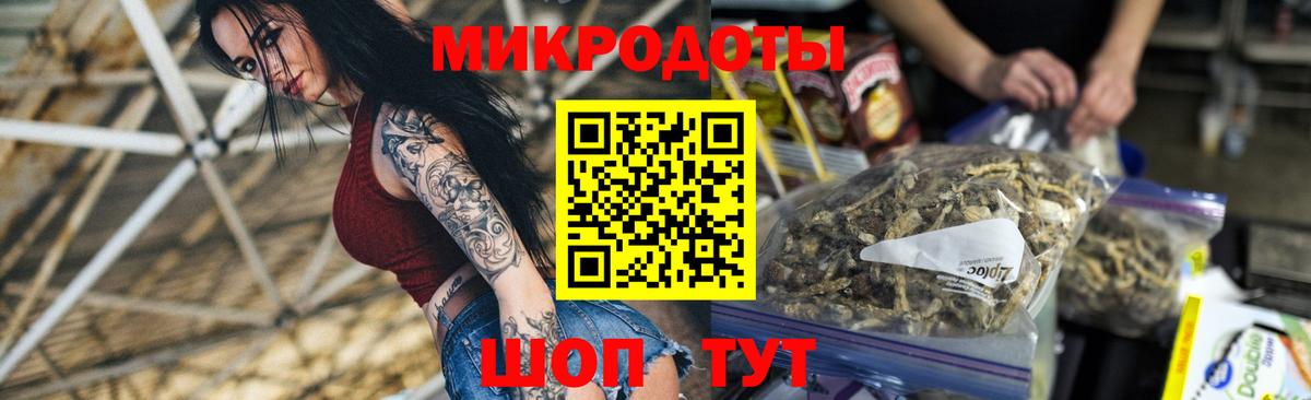 Королёв  Псилоцибиновые грибы Psilocybine cubensis  Вход с VPN 