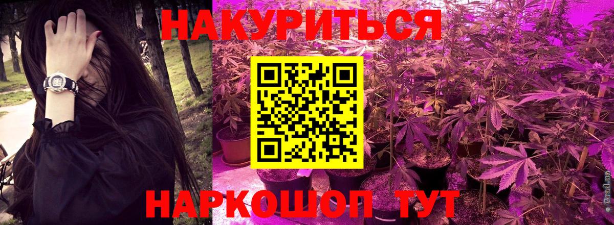 Шишки марихуана Amnesia  Бошки марихуана Bruce Banner  Королёв  Вход с VPN  Канабис семена 